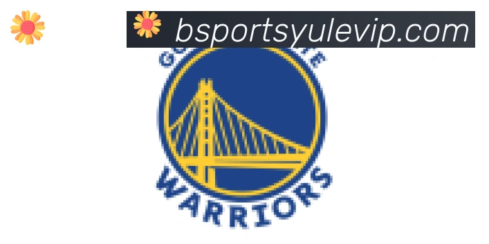 Bsports官网合作伙伴